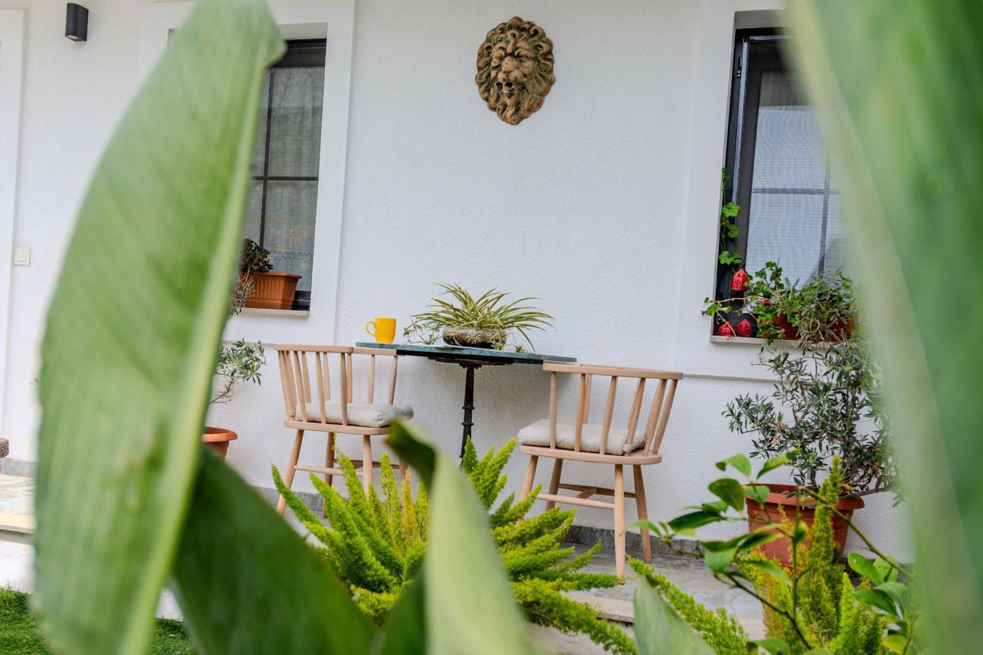 Arden'S House Bed and Breakfast Bodrum Exteriör bild